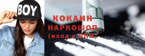 ГАЛЛЮЦИНОГЕННЫЕ ГРИБЫ Алексин