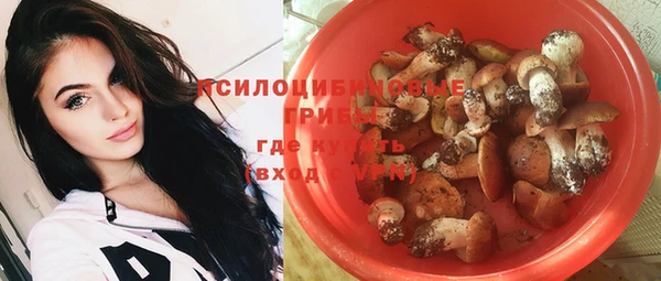 ГАЛЛЮЦИНОГЕННЫЕ ГРИБЫ Алексин