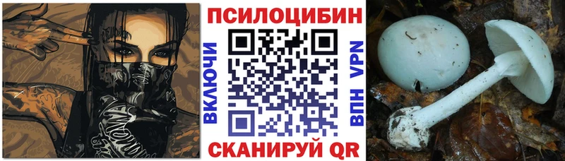 Галлюциногенные грибы мицелий Петрозаводск