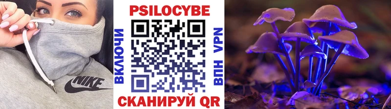 Псилоцибиновые грибы мухоморы  Петрозаводск 