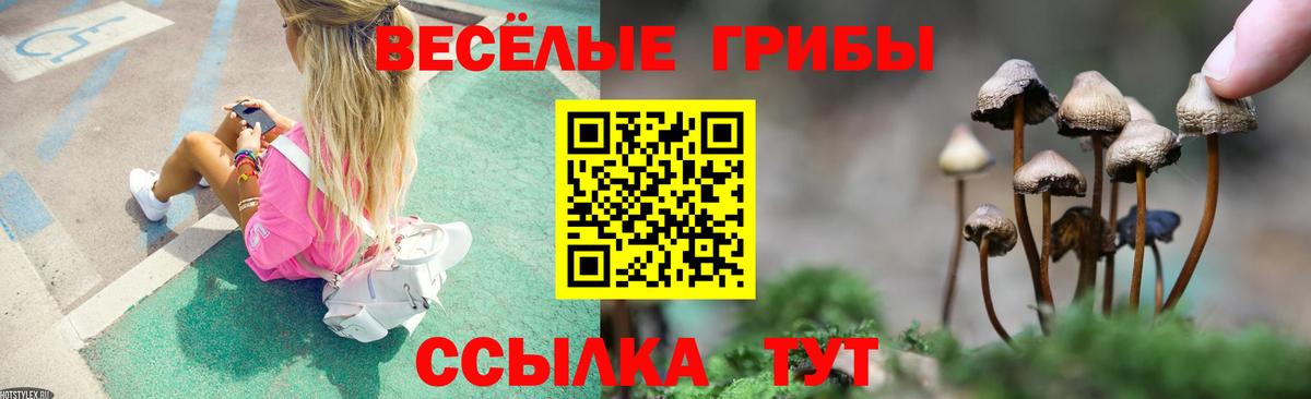 Петрозаводск  Галлюциногенные грибы Magic Shrooms  Вход с VPN  Галлюциногенные грибы ЛСД 